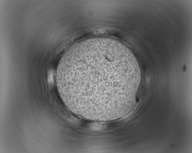 X0000115610094200912011601