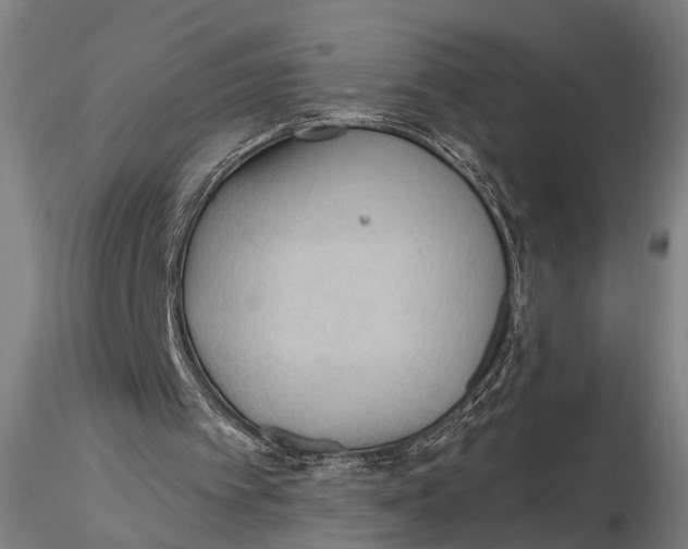 X0000115610097200912011601