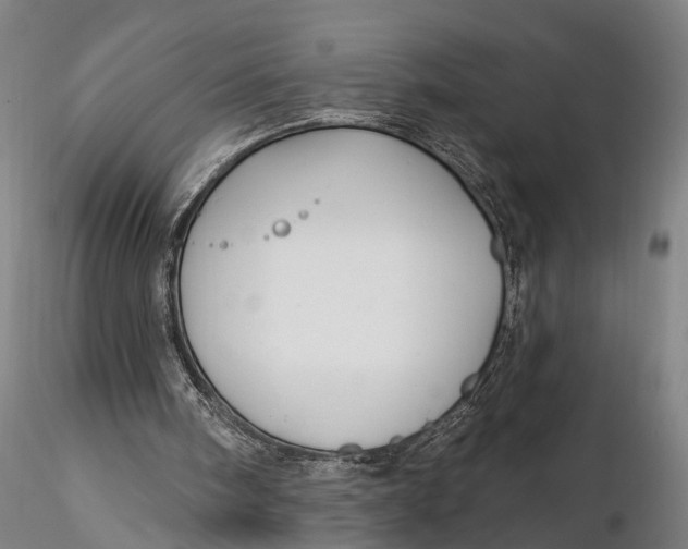 X0000115610098200912011601