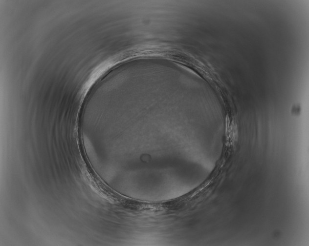 X0000115610099200912011601