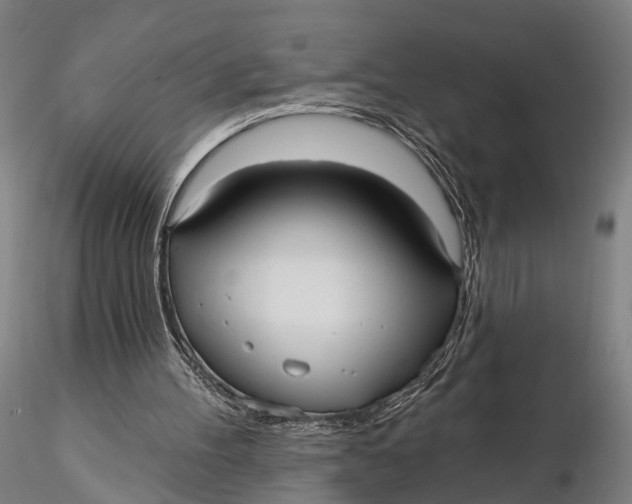 X0000115610100200912011600