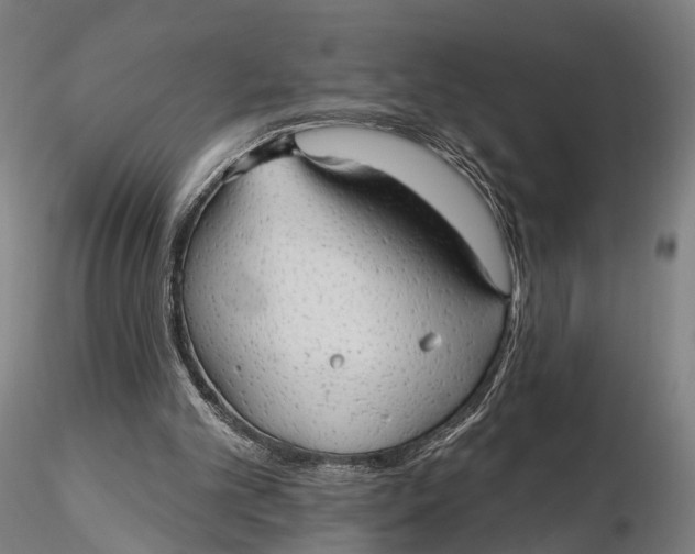 X0000115610101200912011600