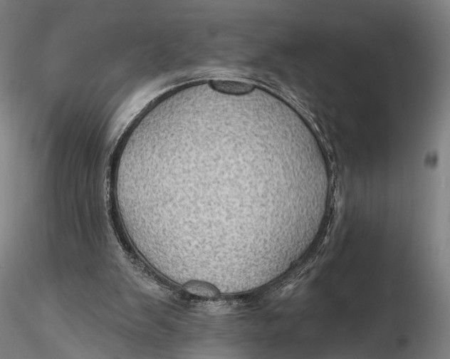 X0000115610103200912011600