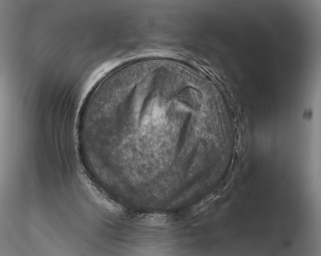 X0000115610104200912011600