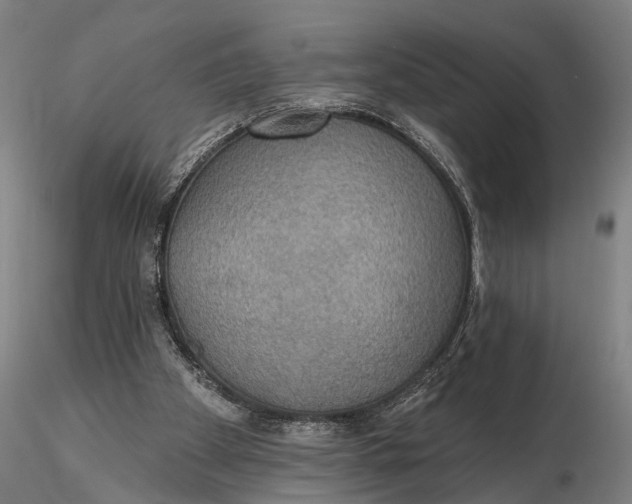 X0000115610105200912011600