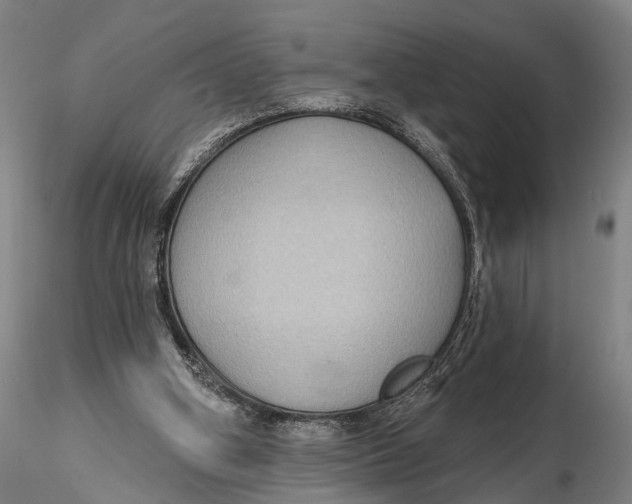 X0000115610106200912011600