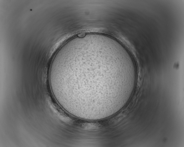 X0000115610107200912011600