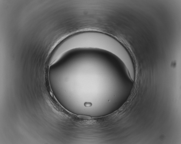 X0000115610108200912011600