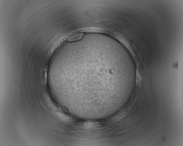 X0000115610109200912011600
