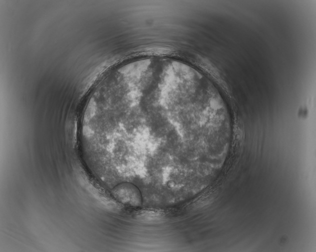 X0000115610110200912011600