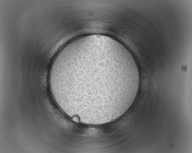 X0000115610111200912011600