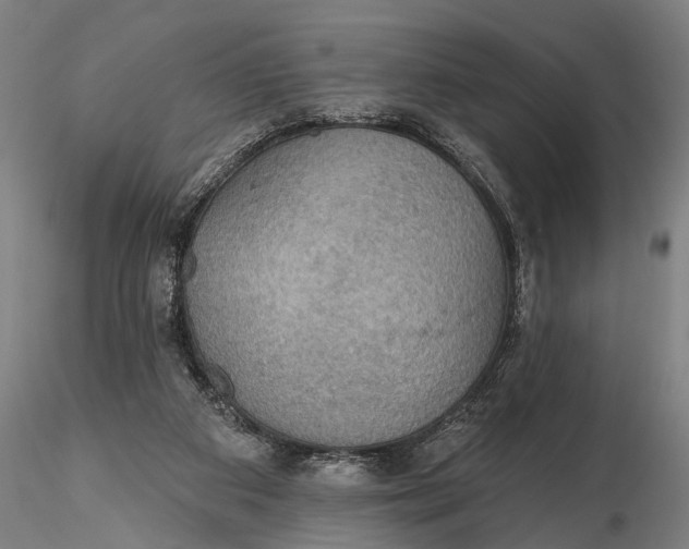 X0000115610113200912011600