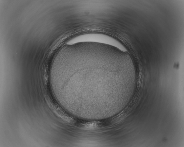 X0000115610116200912011600