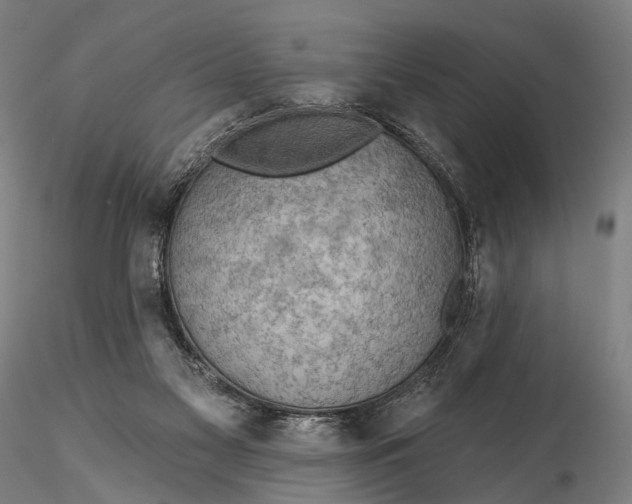 X0000115610117200912011600