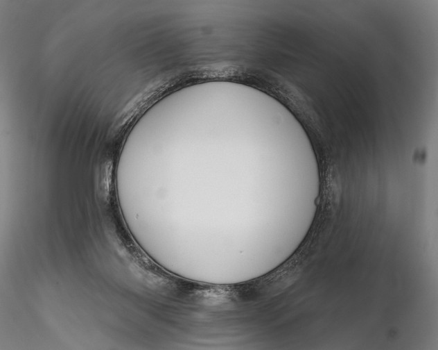 X0000115610118200912011600