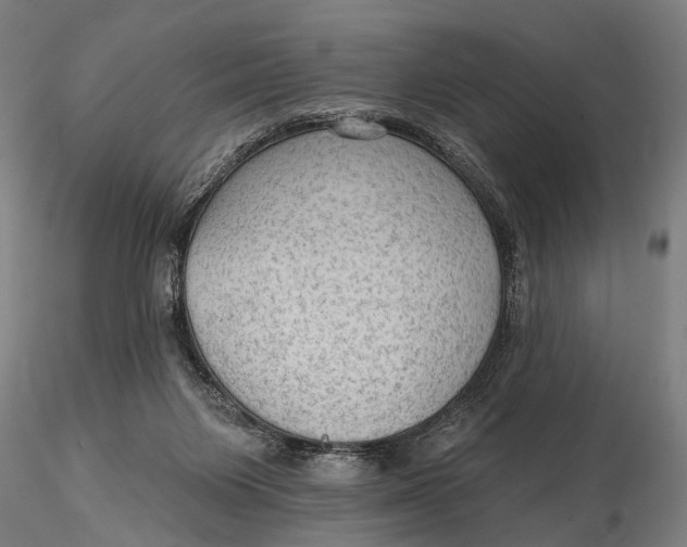 X0000115610119200912011600