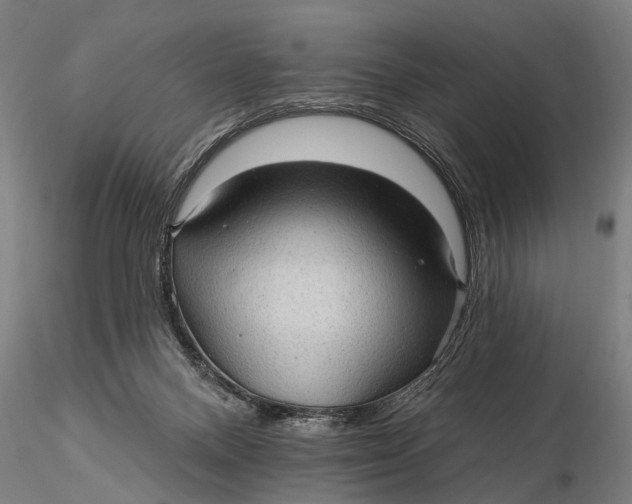 X0000115610120200912011600
