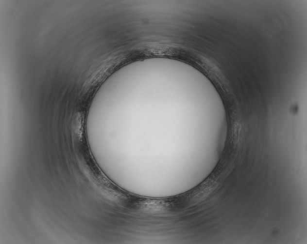 X0000115610121200912011600