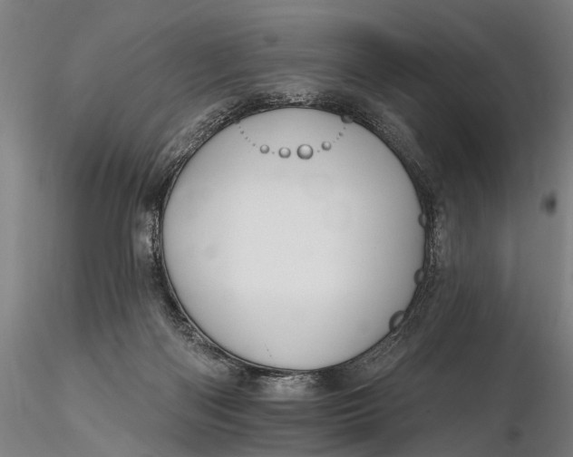 X0000115610122200912011600