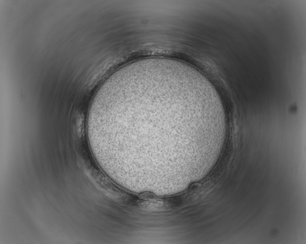 X0000115610123200912011600