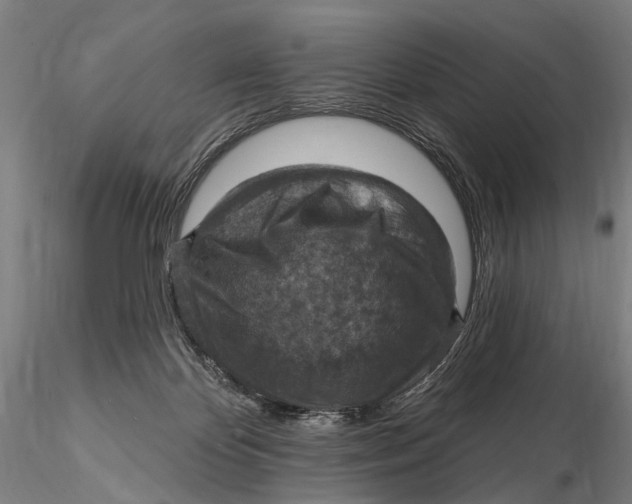X0000115610124200912011600