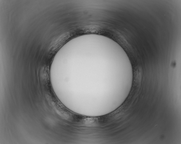 X0000115610126200912011600