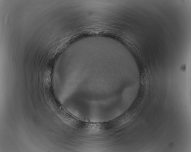 X0000115610127200912011600