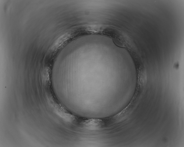X0000115610128200912011600