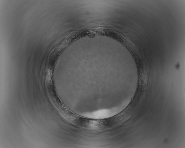 X0000115610130200912011600