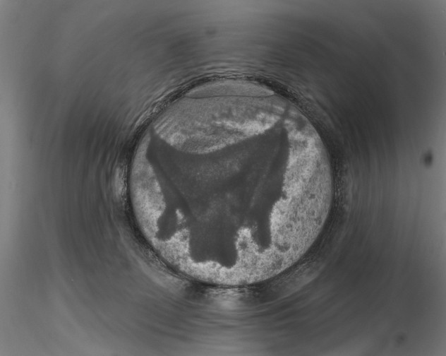X0000115610131200912011600