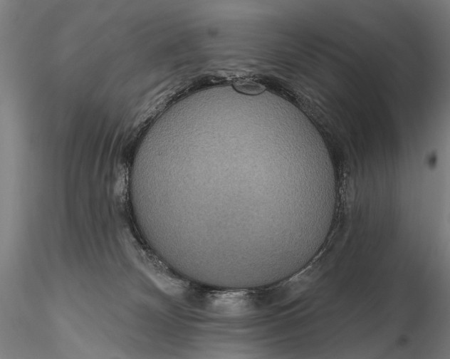 X0000115610132200912011600