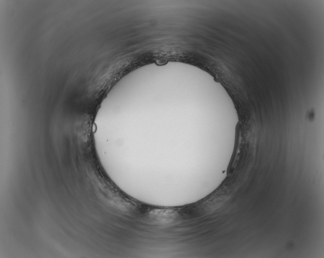 X0000115610133200912011600