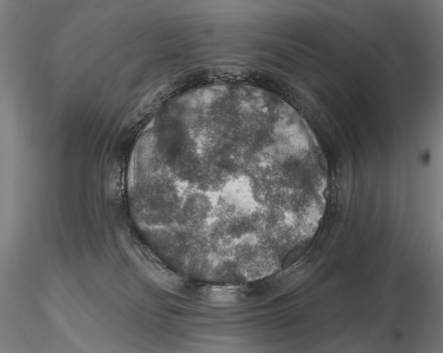 X0000115610134200912011600