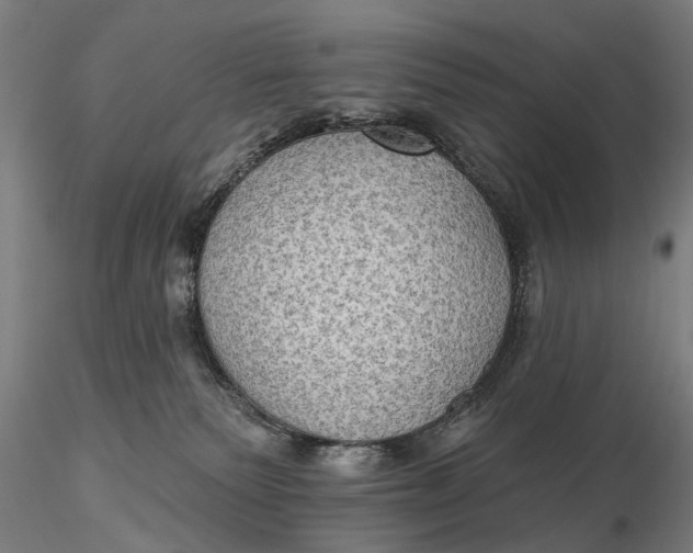 X0000115610135200912011600