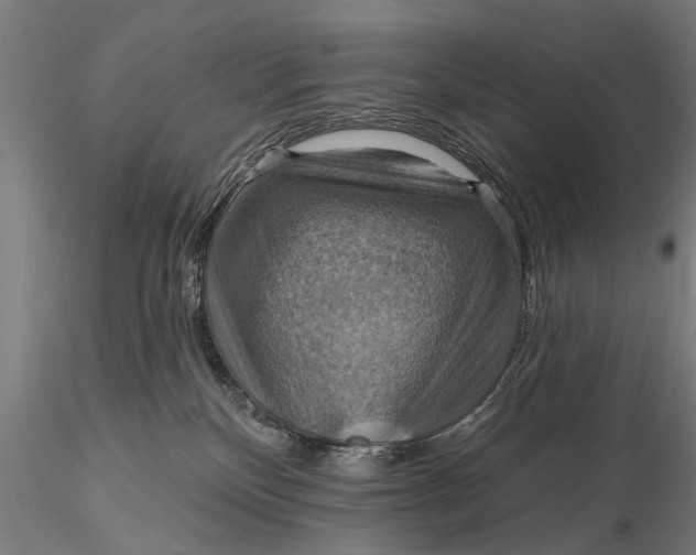 X0000115610136200912011600