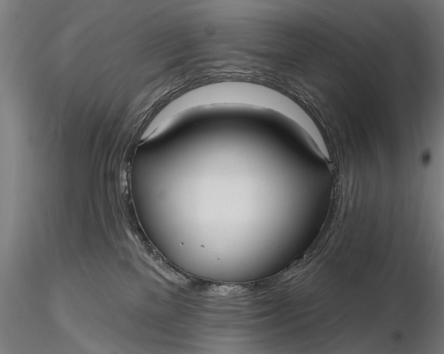 X0000115610137200912011600