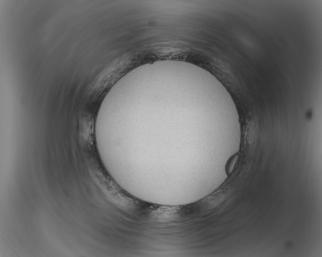X0000115610138200912011600