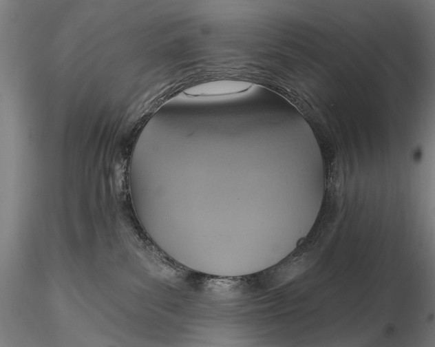 X0000115610139200912011600