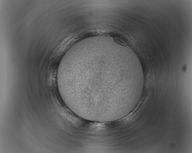 X0000115610140200912011600