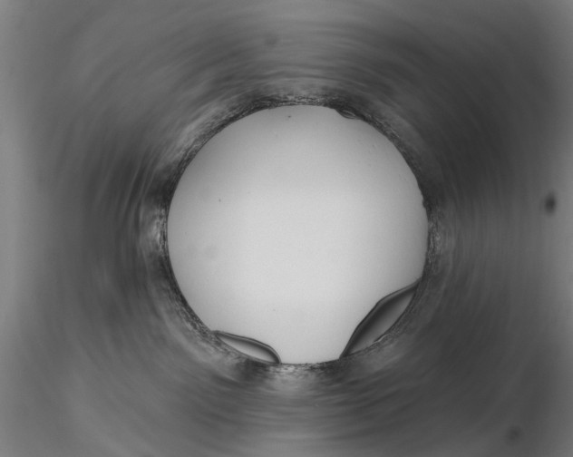 X0000115610141200912011600