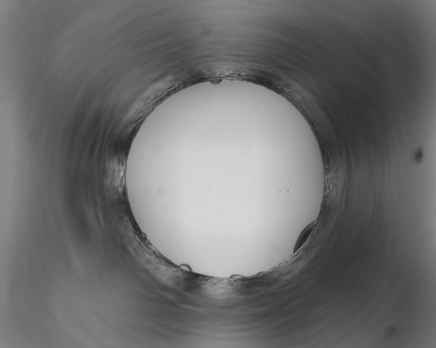 X0000115610142200912011600
