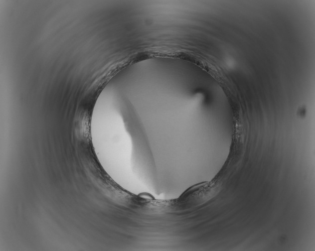 X0000115610143200912011600