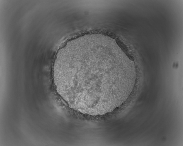 X0000115610144200912011600