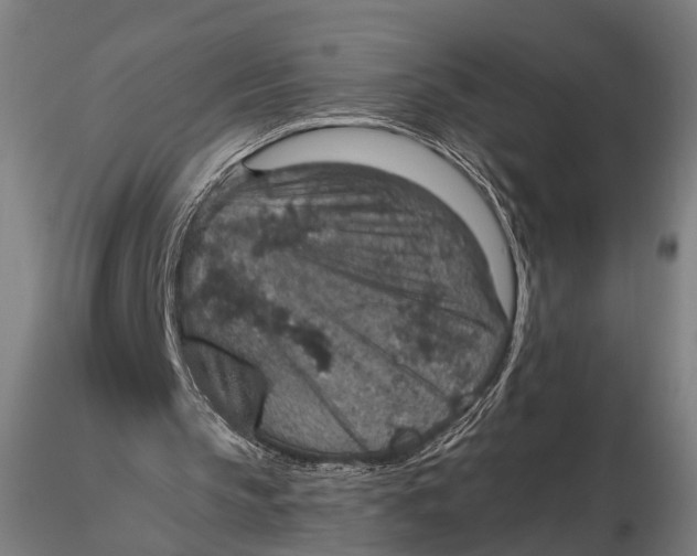 X0000115610145200912011559