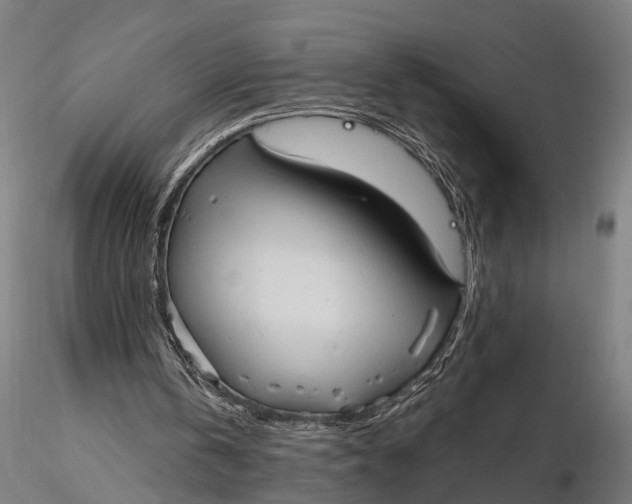 X0000115610146200912011559