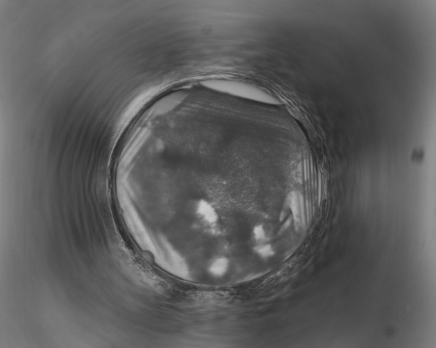 X0000115610147200912011559