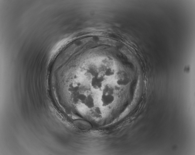 X0000115610149200912011559