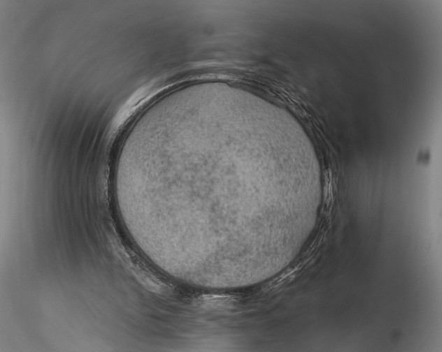 X0000115610150200912011559