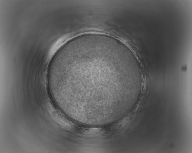 X0000115610151200912011559