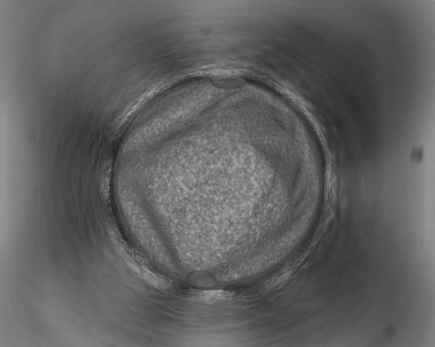 X0000115610153200912011559